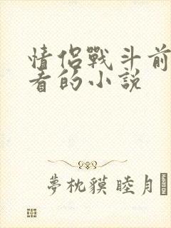 情侣战斗前适合看的小说