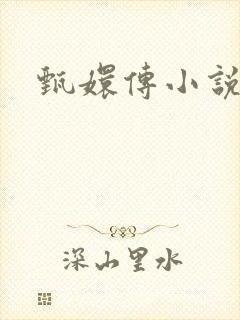 甄嬛传小说