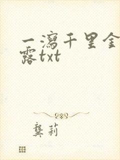 一泻千里金银花露txt