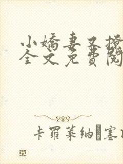 小娇妻又撩又甜全文免费阅读