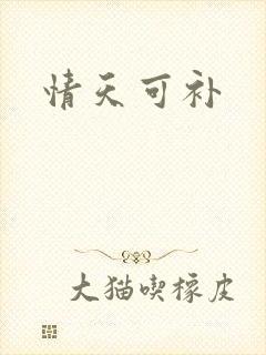 情天可补