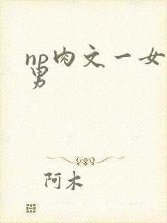 np肉文一女多男