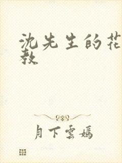 沈先生的花式管教封面