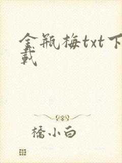 金瓶梅txt下载