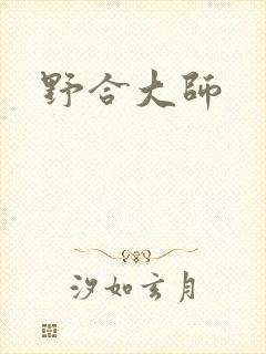 野合大师封面