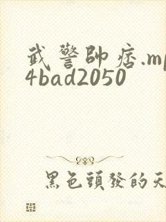 武警帅痞.mp4bad2050