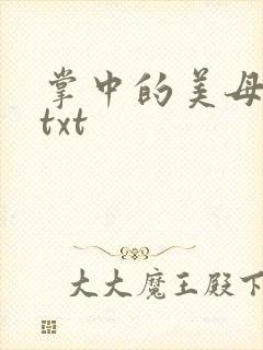 掌中的美母版主txt