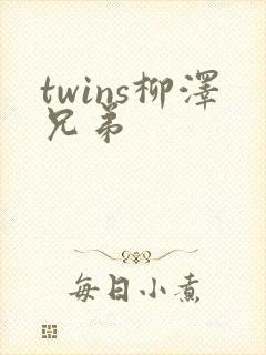 twins柳泽兄弟