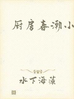 厨房春潮小说