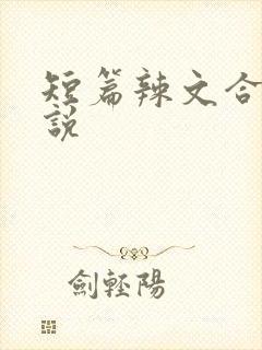 短篇辣文合集小说