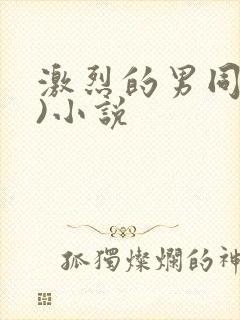 激烈的男同(h)小说