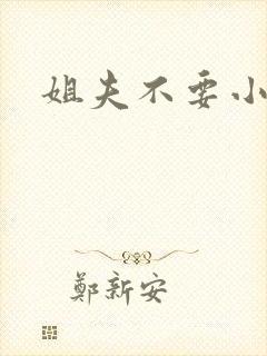 姐夫不要小说