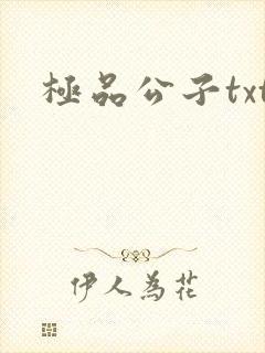 极品公子txt