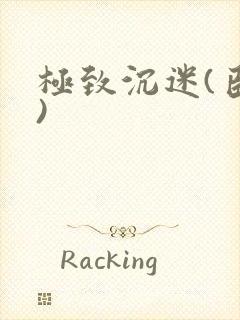 极致沉迷(臣年)封面