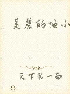 美丽的他小说