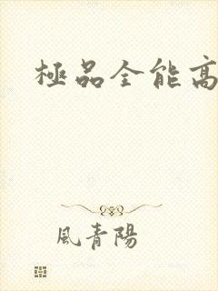 极品全能高手
