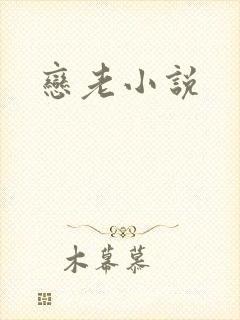 恋老小说