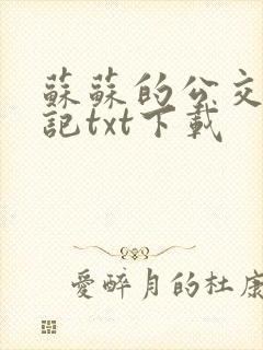 苏苏的公交车日记txt下载封面