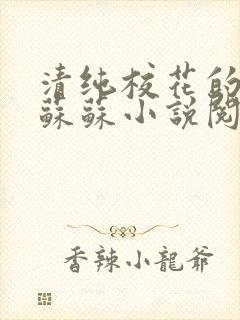 清纯校花的日常苏苏小说阅读全文