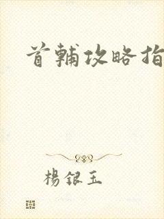 首辅攻略指南封面