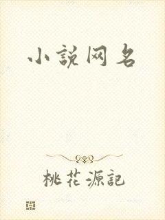 小说网名