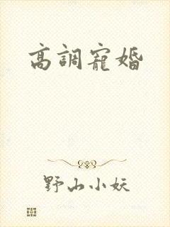 高调宠婚