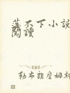落不下小说免费阅读