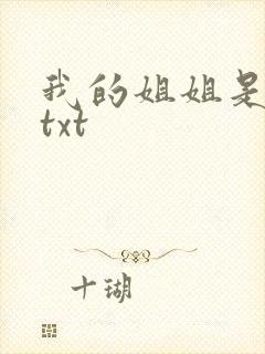 我的姐姐是美女txt
