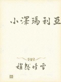 小泽玛利亚作品封面