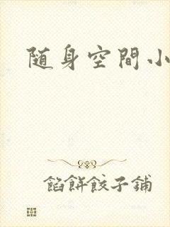 随身空间小说