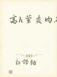 高h荤爽肉欲文