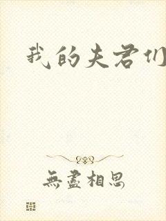 我的夫君们