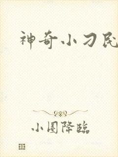 神奇小刁民