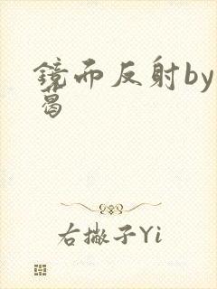 镜面反射by九葛