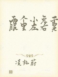 两个小兔子在衣服里左右晃