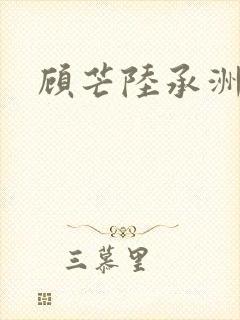 顾芒陆承洲