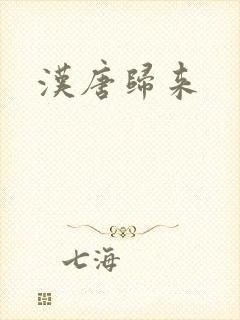 汉唐归来
