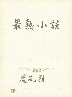 最热小说