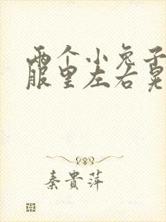 两个小兔子在衣服里左右晃