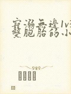 宠溺无边1v3双胞胎的小说
