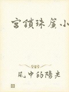 宫锁珠帘小说
