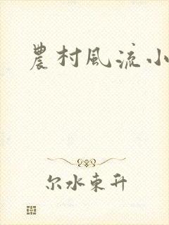 农村风流小说