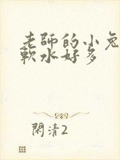 老师的小兔子好软水好多