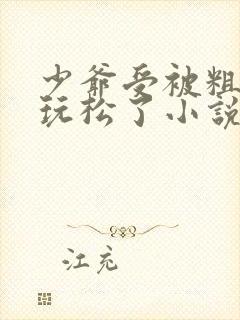 少爷受被粗汉H玩松了小说封面