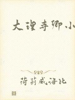 大理寺卿小说