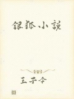银狐小说