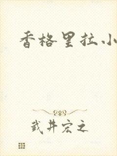 香格里拉小说封面