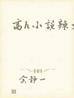 高h小说辣文