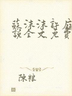 苏沫沫许庭川小说全文免费阅读
