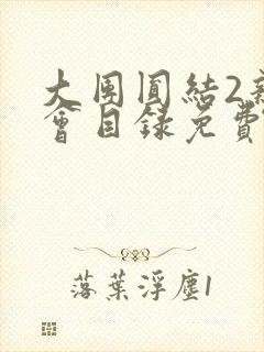 大团圆结2亲情会目录免费阅读